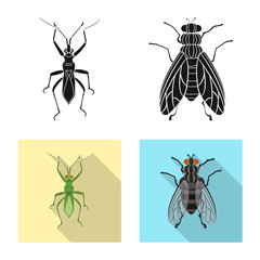 Isolated object of insect and fly icon. Collection of insect and element stock vector illustration.