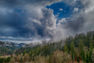 Tiefhängende Regenwolken ziehen über Wald 