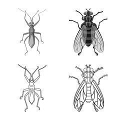 Isolated object of insect and fly icon. Set of insect and element stock vector illustration.