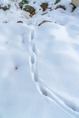 Fototapeta na wymiar Footprints on powdery snow covering rocky terrain