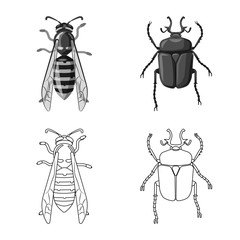 Vector illustration of insect and fly sign. Set of insect and element stock vector illustration.