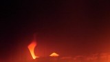 red flames of otgryaschih natural wood by the fireplace