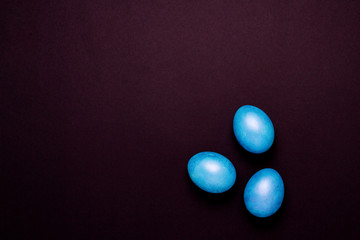 Easter Blue Eggs on the Black Background.