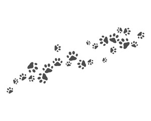 Paw background template