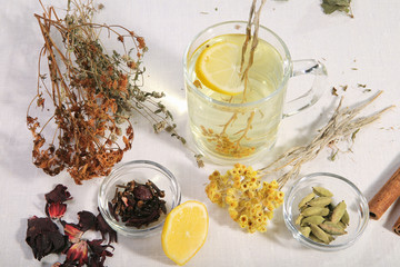 A set of herbs from traditional medicine.