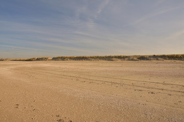 Fototapeta na wymiar Ślady kół samochodu na nadmorskiej plaży.