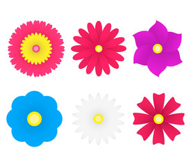 Set of flat Spring  flowers collection isolated on white