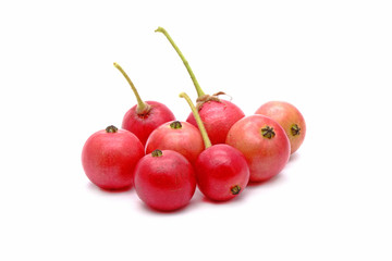 Flacourtia rukam is a species of flowering plant in the willow family, Common names include rukam, governor's plum, Indian plum, and Indian prune. Isolated on white background.