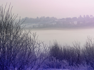 Beautiful winter landscape