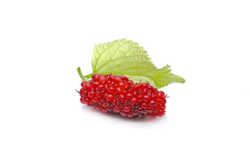 Red Mulberry with green leaves. Isolated on white background.