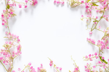 square border frame with pink flower , branches and leaves isolated on white background with copy space. flat lay, top view