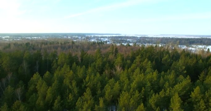 Top birds eye view of vast countryside landscape with snowy fields and green coniferous treetops. Helicopter flying above dense forest on cloudy winter day. Woodworking industry deforestation earth