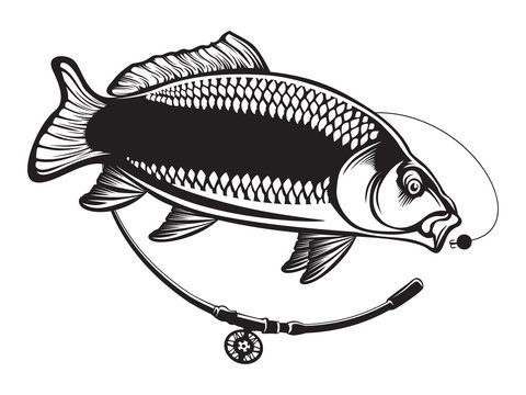 Vector illustration of carpio fish with fishing rod. Vector illustration can be used for creating logo and emblem for fishing clubs, prints, web and other crafts..