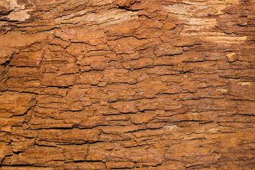 crust texture