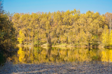 Obraz premium Forest, lit by the warm sun of early autumn. Trees are reflected in the water, as in a mirror