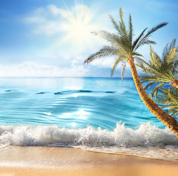 Summer landscape, nature of tropical beach with rays of sun light. Golden sand beach, palm tree,  wave sea water, blue sky with white clouds. Copy space, summer vacation concept.