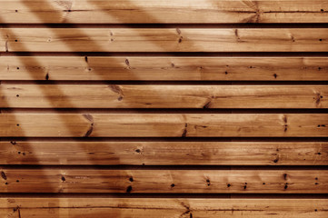 Obraz premium background with wood texture, place for text