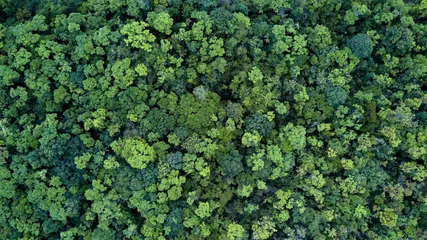 Fotobehang Bos en boom landschap textuur abstracte achtergrond, luchtfoto bovenaanzicht bos sfeer gebied, textuur van bos weergave van bovenaf, ecosysteem en gezonde ecologie milieu concepten. © Kalyakan