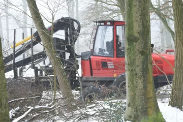 Foto auf Alu-Dibond ladende tractor met kraan van boomstammen in winterse Kruisbergse Bossen in de Achterhoek © henkbouwers