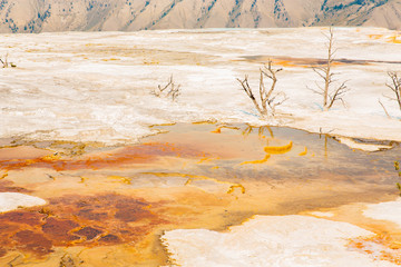 Yellowstone National Park in Wyoming and Montana, USA