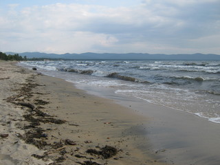 on the shore of Lake Baikal
