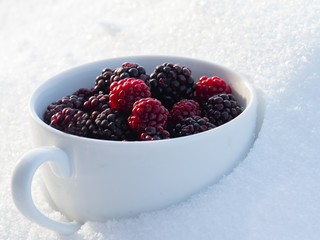 White Cup with berries on snow, beautiful winter background