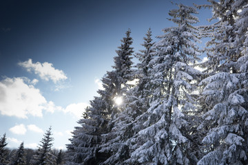 Winter landscape in mountanins 