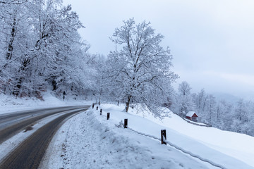 The road through the forest among snow covered trees in winter