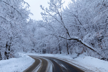 Fototapeta premium The road through the forest among snow covered trees in winter