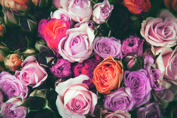 Pink, white and yellow roses background.