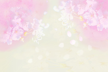 Obraz na płótnie Canvas 優しい桜