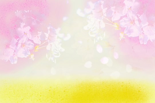 Fototapeta 優しい桜と菜の花イメージ