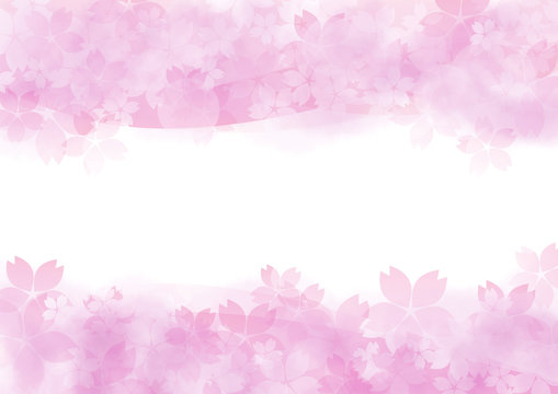 Fototapeta 優しい桜　上下