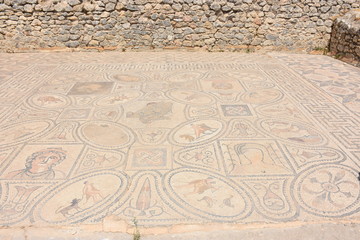 VOLUBILIS