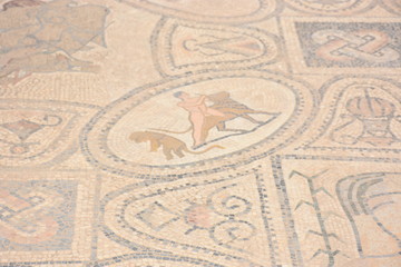 VOLUBILIS
