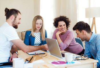 Fototapeta premium Group of young businesspeople with laptop working in a modern office.