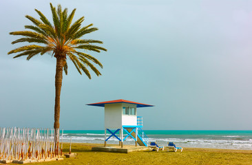 Sandy beach with palm tree and life guard tower