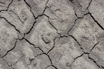 texture Cracked earth,background crack is a dry soil in the summer