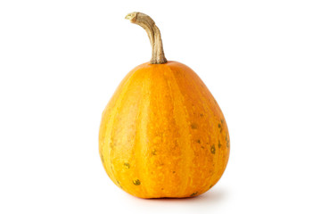 Organic raw mini pumpkin isolated on white background
