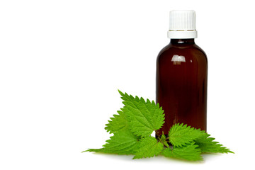Stinging nettle essential oil or tincture in a bottle isolated on white background with copy space