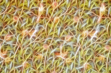 light lines, bird drawing on tree branches