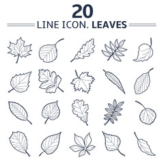 Leaves vector icon set