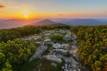 Obraz premium Rest in the summer in the Ukrainian Carpathians with overnight stay in a tent on a mountain top.