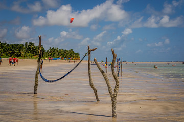 Beaches of Brazil - Antunes Beach, Maragogi - Alagoas state