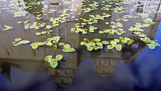 Seerosen,Burggraben,Schelenburg,Spiegelung