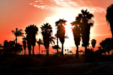 Sunset Red Sky
