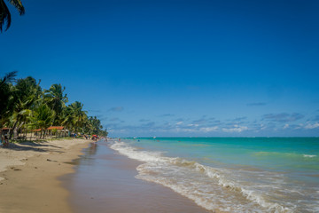 Fototapeta na wymiar Beaches of Brazil - Peroba Beach, Maragogi - Alagoas state