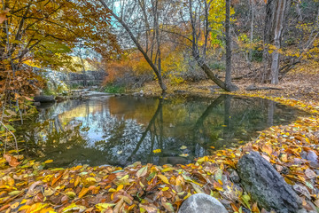 Fototapeta na wymiar Reflective stream viewed on a sunny day in autumn