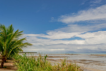 Beaches of Brazil - Bitingui Beach, Japaratinga - Alagoas state