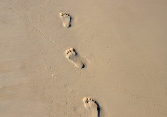 Barefoot walk on wet yellow sand. Beach texture photo. Foot marks on beach. Bare foot mark banner